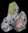 Apatite Crystals with Magnetite & Quartz - Durango, Mexico #64025-2